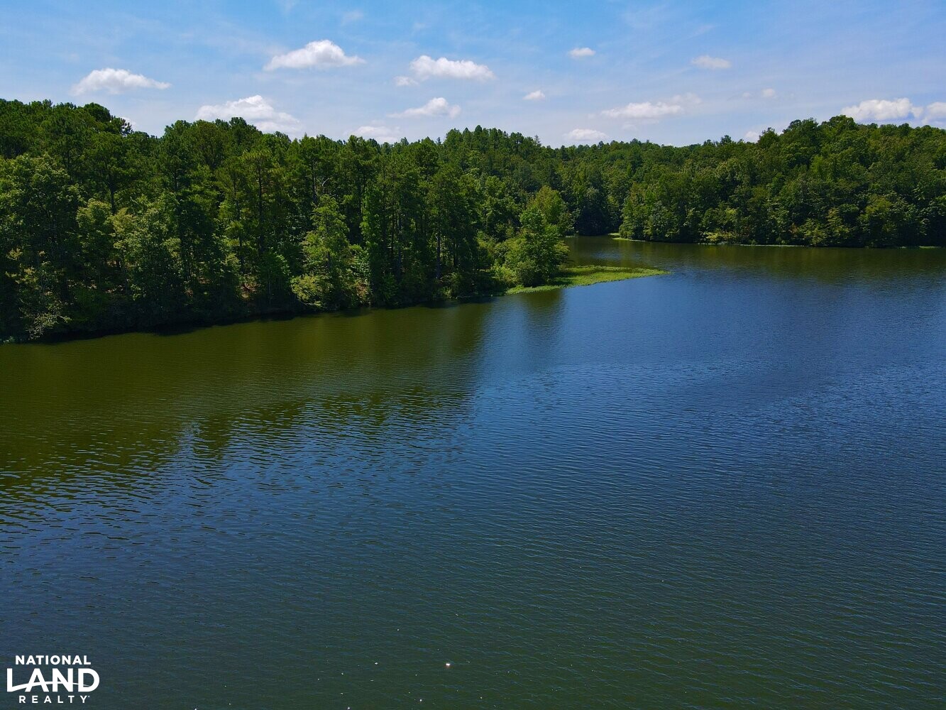 Lay Lake Timber, Development, & Hunting in Talladega County, Alabama (33 Photos) National Land