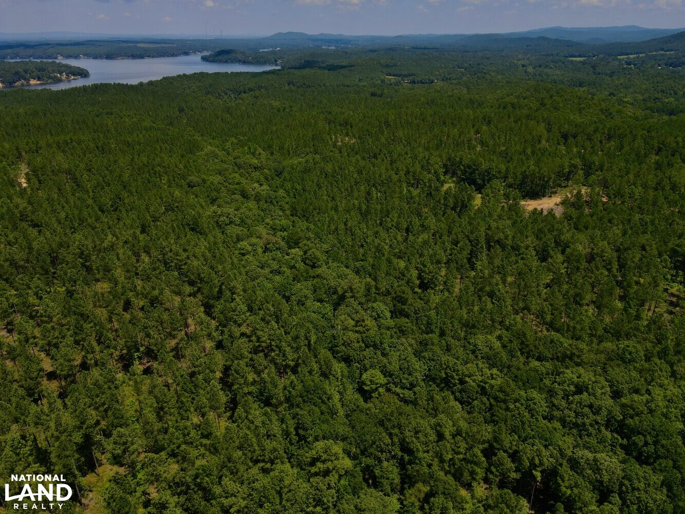 Lay Lake Timber, Development, & Hunting in Talladega County, Alabama