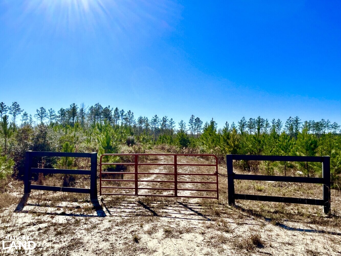 Leakesville Timberland, Homesite, and Hunting Tract in Greene County