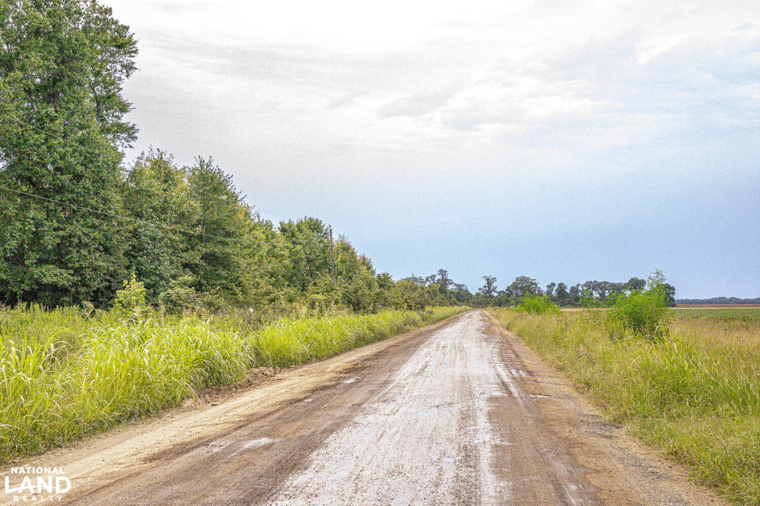 The Morehouse Sanctuary in Morehouse Parish, Louisiana (36 Photos
