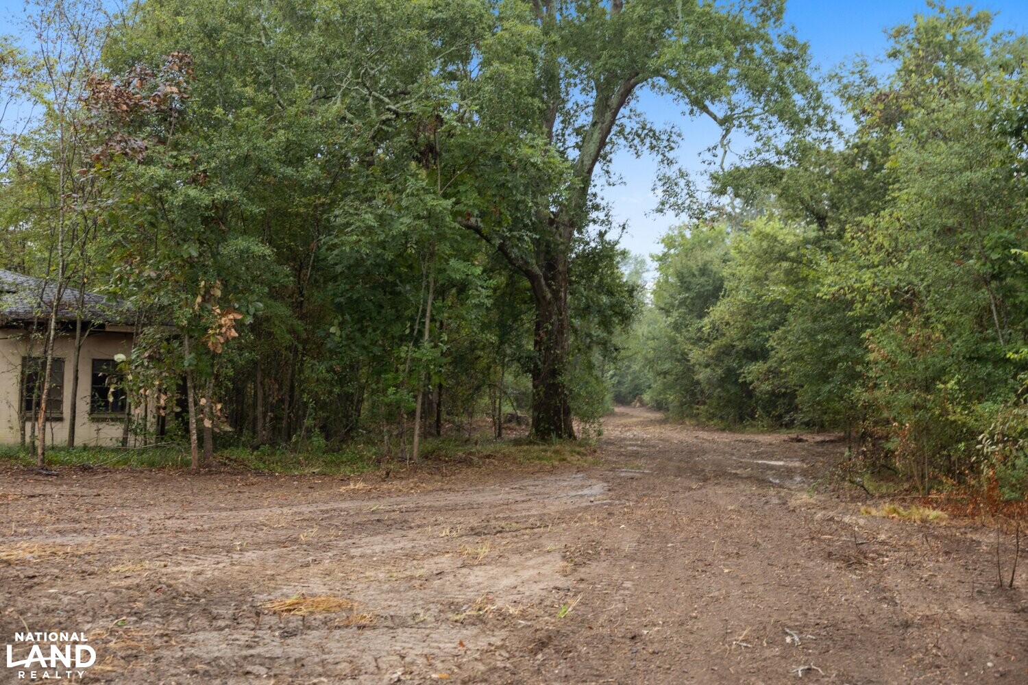 The Morehouse Sanctuary in Morehouse Parish, Louisiana (36 Photos) National Land Realty