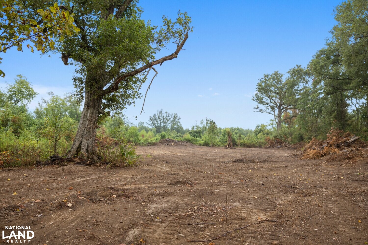 The Morehouse Sanctuary in Morehouse Parish, Louisiana (36 Photos