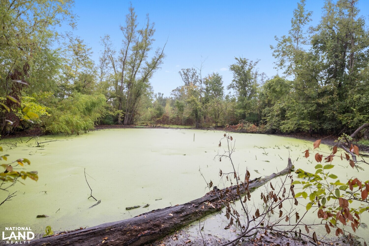 The Morehouse Sanctuary in Morehouse Parish, Louisiana (36 Photos