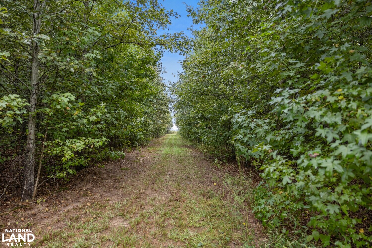 The Morehouse Sanctuary in Morehouse Parish, Louisiana (36 Photos