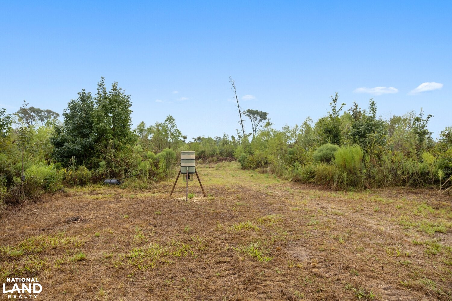 The Morehouse Sanctuary in Morehouse Parish, Louisiana (36 Photos