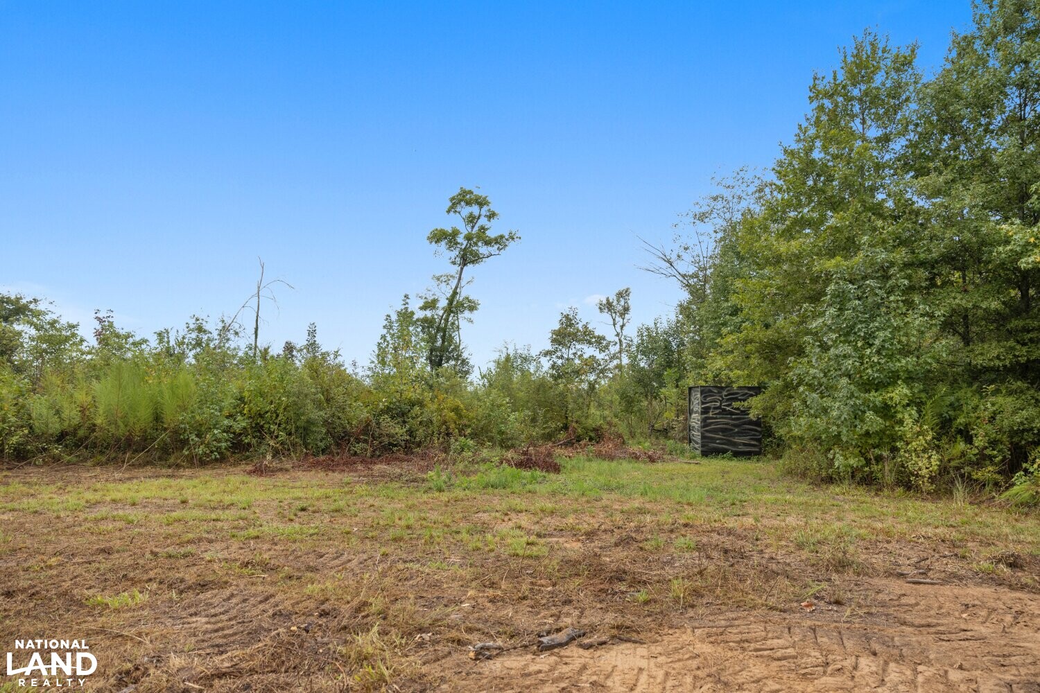 The Morehouse Sanctuary in Morehouse Parish, Louisiana (36 Photos