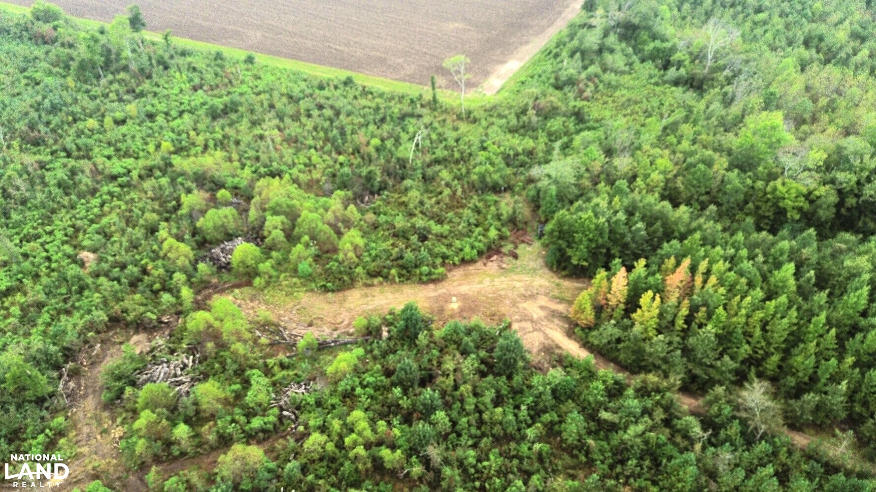 The Morehouse Sanctuary in Morehouse Parish, Louisiana (36 Photos