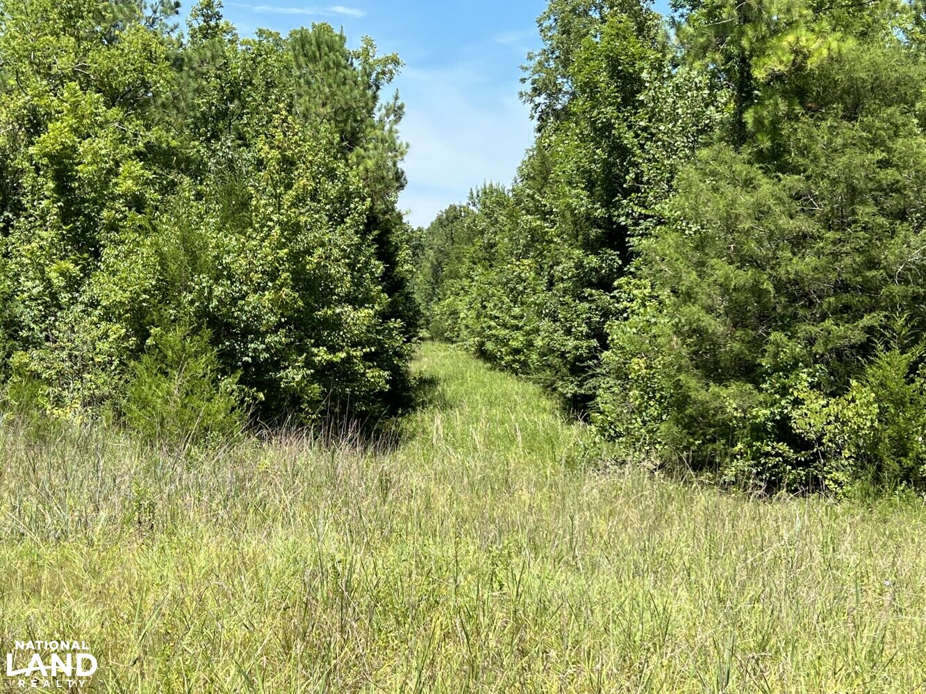 Wheeler Road Recreational Tract in Lowndes County, Alabama (19 Photos