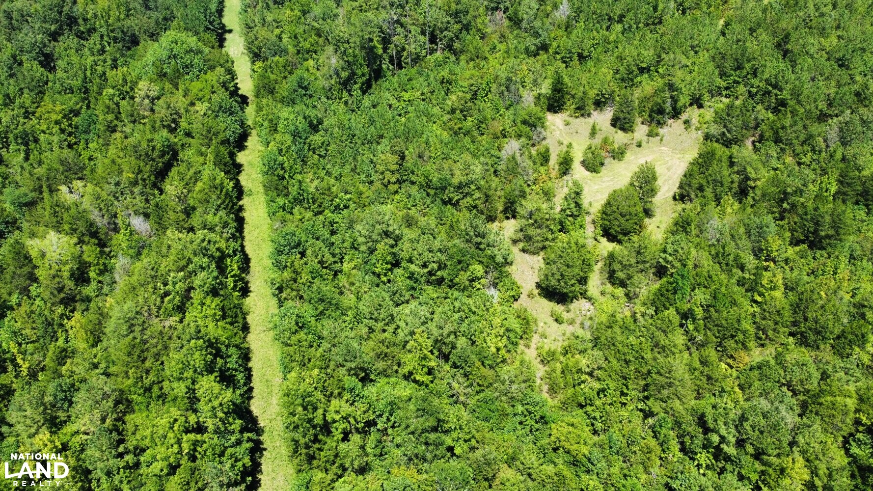 Wheeler Road Recreational Tract in Lowndes County, Alabama (19 Photos