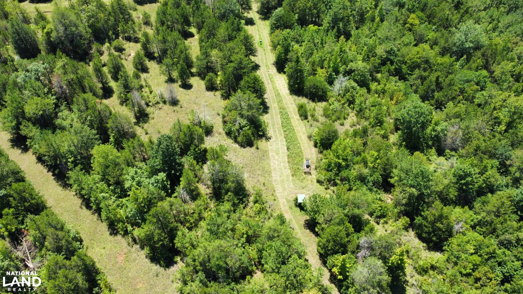 Wheeler Road Recreational Tract in Lowndes County, Alabama (19 Photos