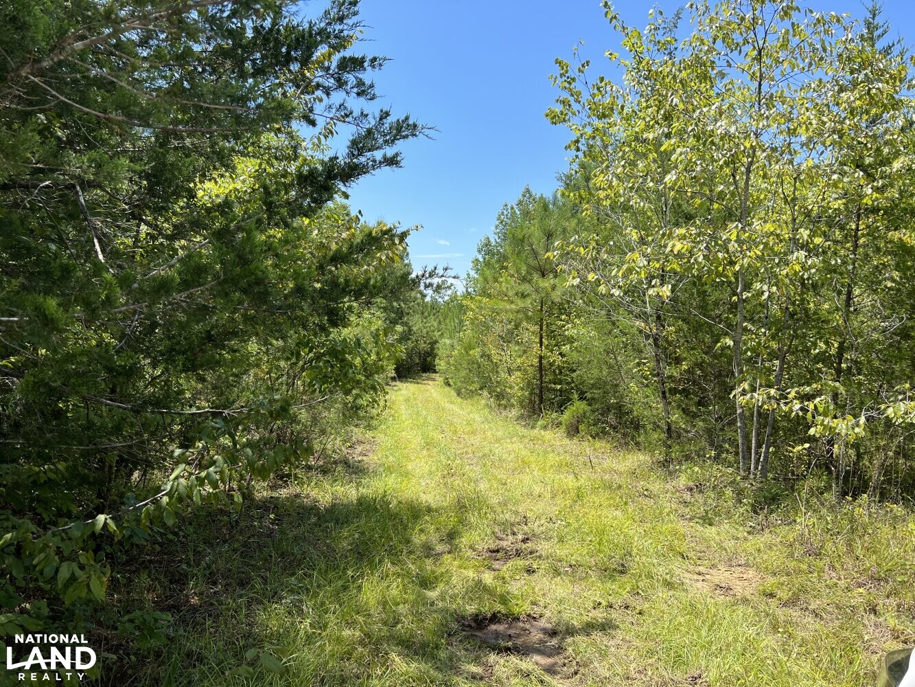 Wheeler Road Recreational Tract in Lowndes County, Alabama (19 Photos