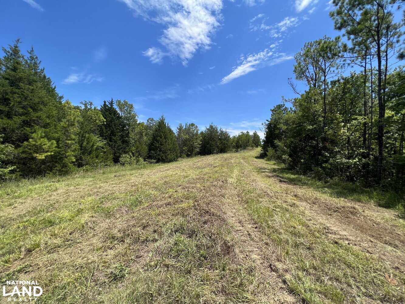 Wheeler Road Recreational Tract in Lowndes County, Alabama (19 Photos