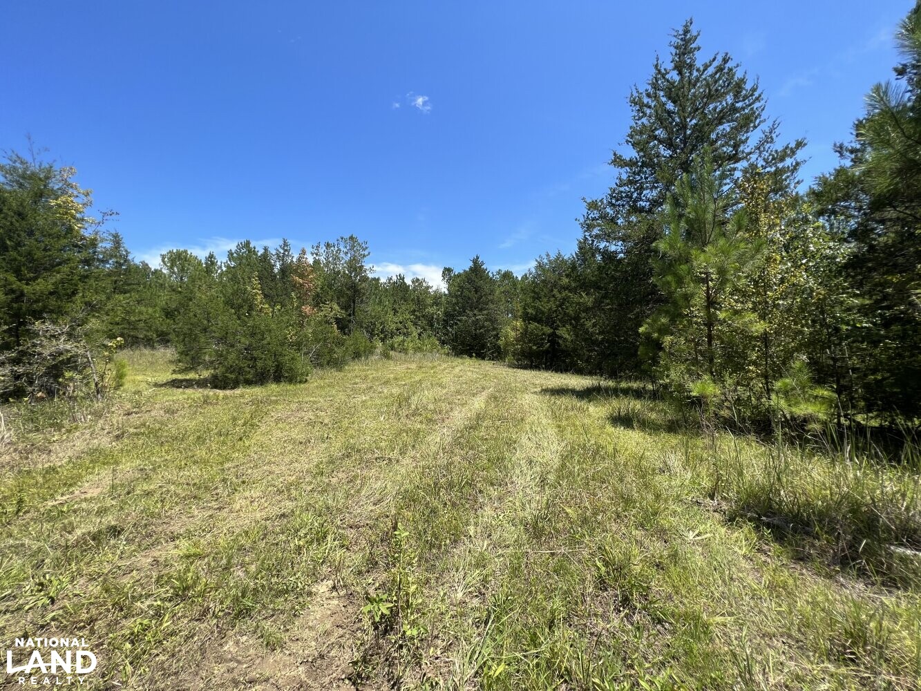 Wheeler Road Recreational Tract in Lowndes County, Alabama (19 Photos