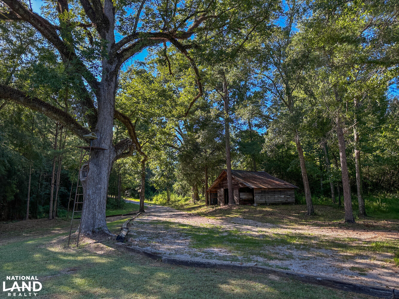 Farm House At Coppers Creek Timber and Hunting Investment in Bibb County, Alabama (83 Photos