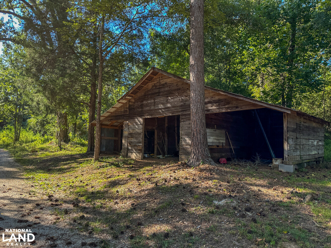 Farm House At Coppers Creek Timber and Hunting Investment in Bibb County, Alabama (83 Photos