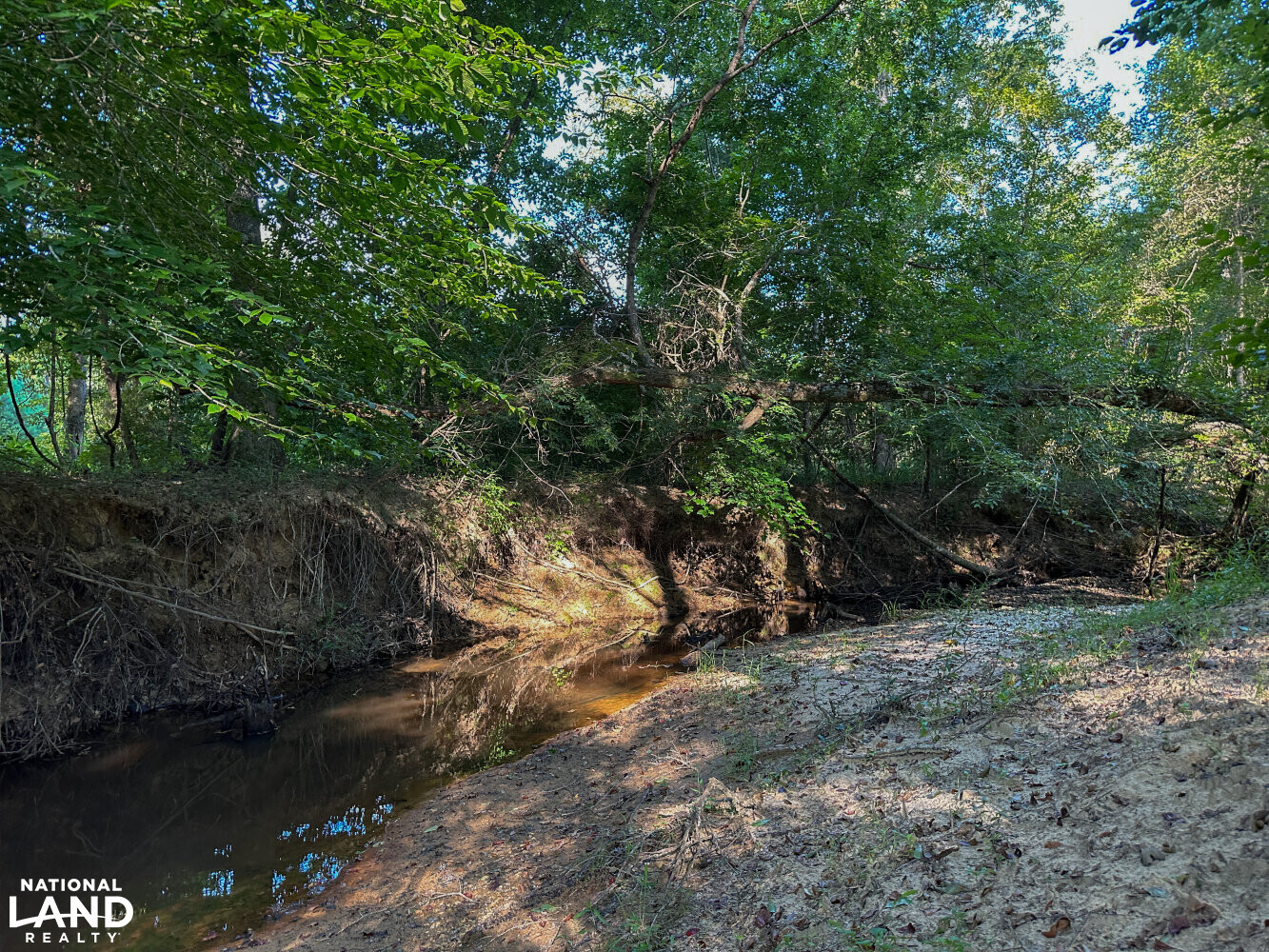 Farm House At Coppers Creek Timber and Hunting Investment in Bibb