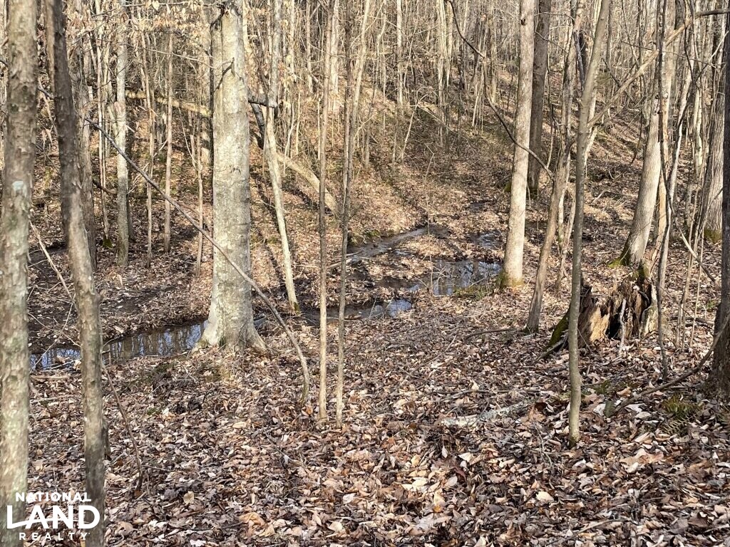 3.17 Acres Near the Tennessee River in Hardin County, Tennessee (16