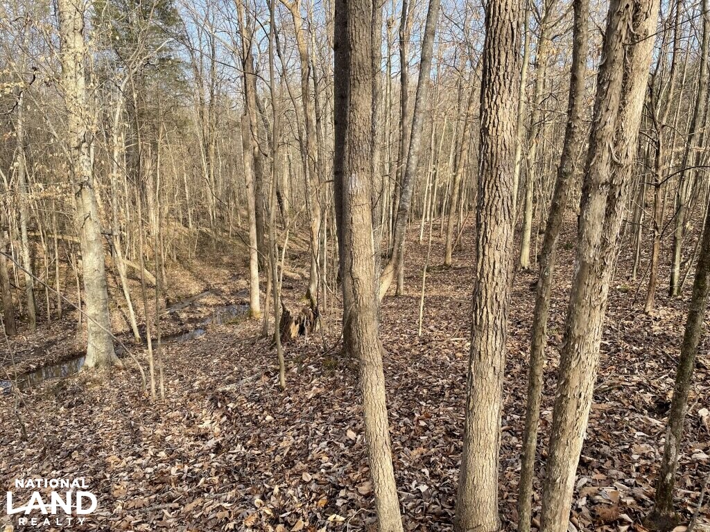 3.17 Acres Near the Tennessee River in Hardin County, Tennessee (16