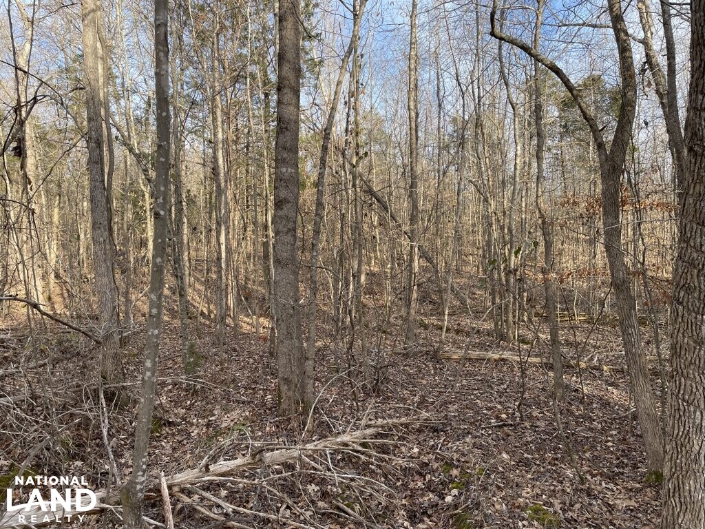 3.06 Acres Near Tennessee River in Hardin County, Tennessee (7 Photos