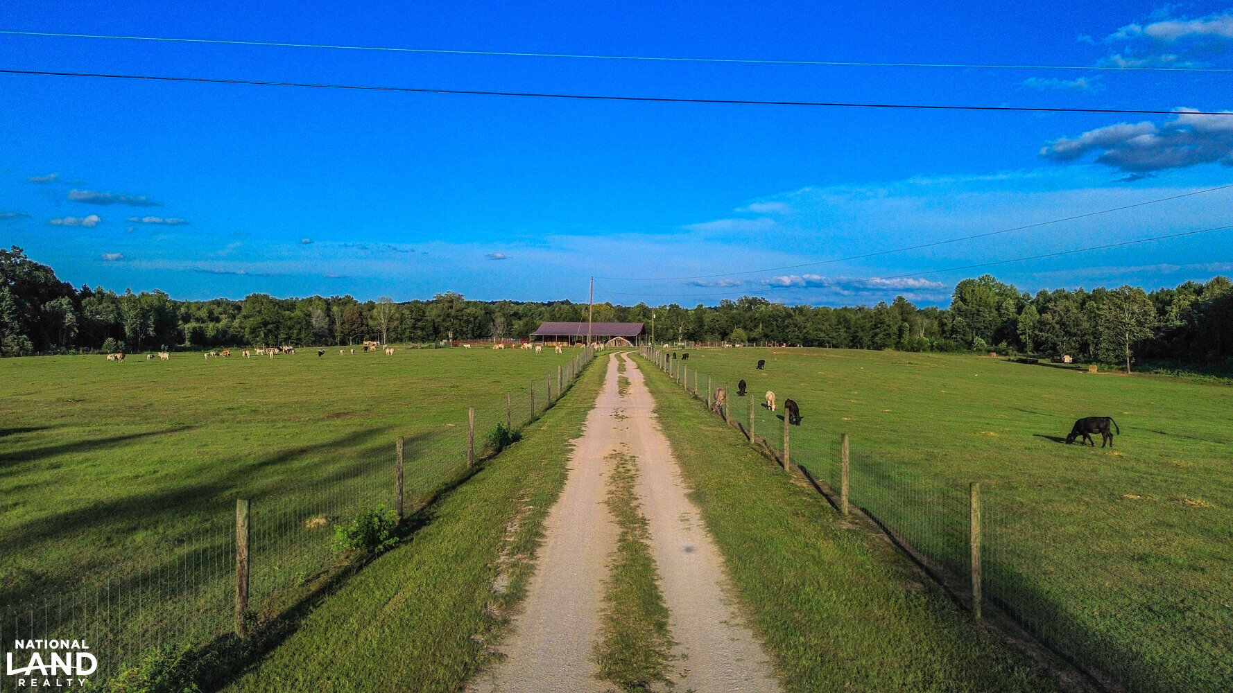 Maplesville Pasture and Hunting Tract in Chilton County, Alabama (33 Photos) National Land Realty