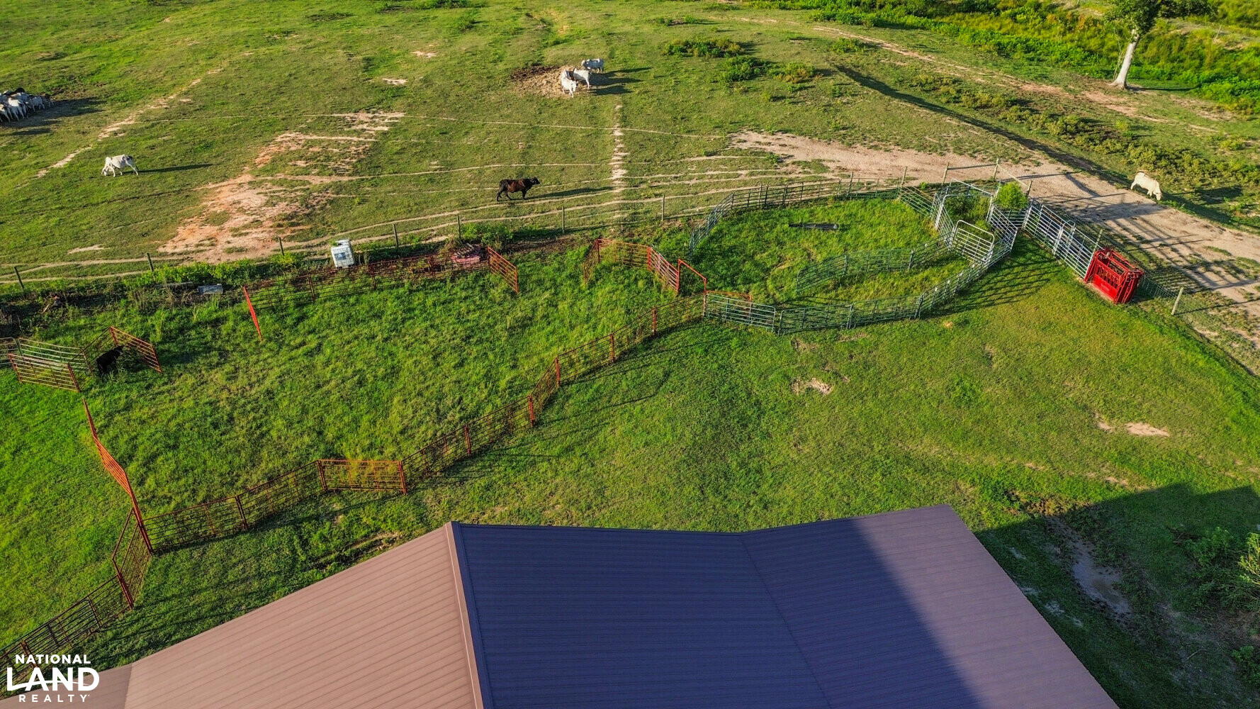 Maplesville Pasture and Hunting Tract in Chilton County, Alabama (33 Photos) National Land Realty