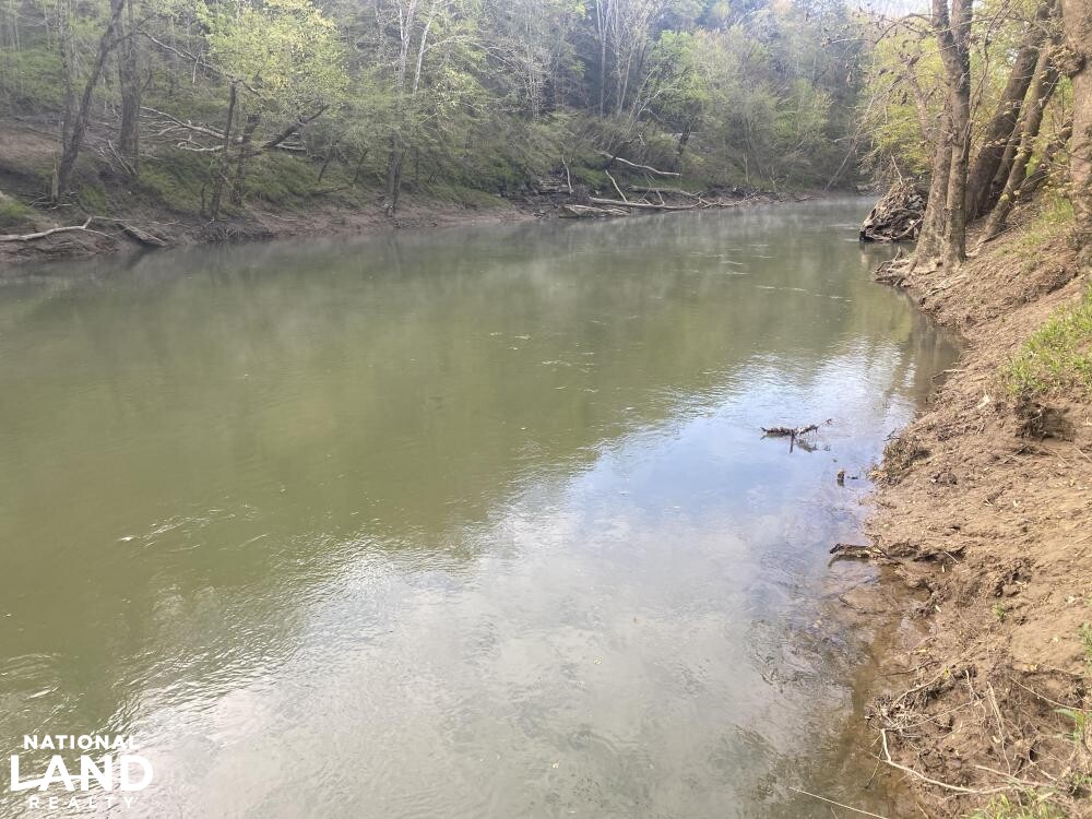 A Farm for the Ages in Whitley County, Kentucky (57 Photos) National