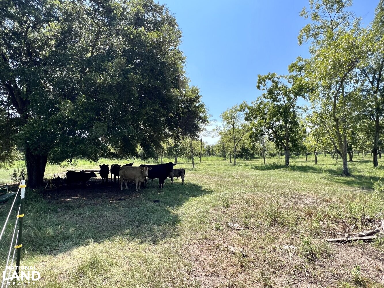 Woodhaven Dairy Road Home & Farm in Baldwin County, Alabama (98 Photos