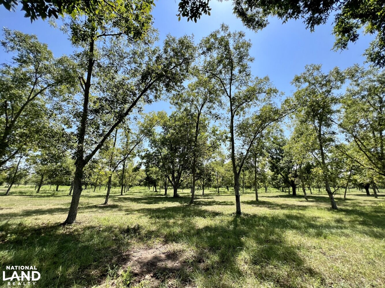 Woodhaven Dairy Road Home & Farm in Baldwin County, Alabama (98 Photos