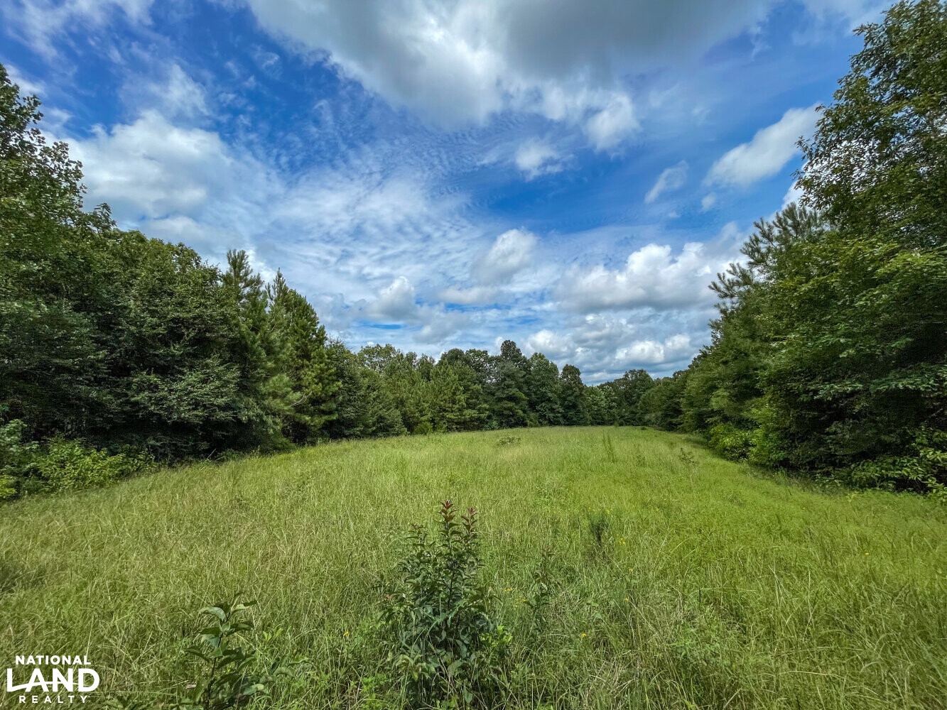 West Autauga Mulberry Creek Timber and Hunting Tract in Autauga County