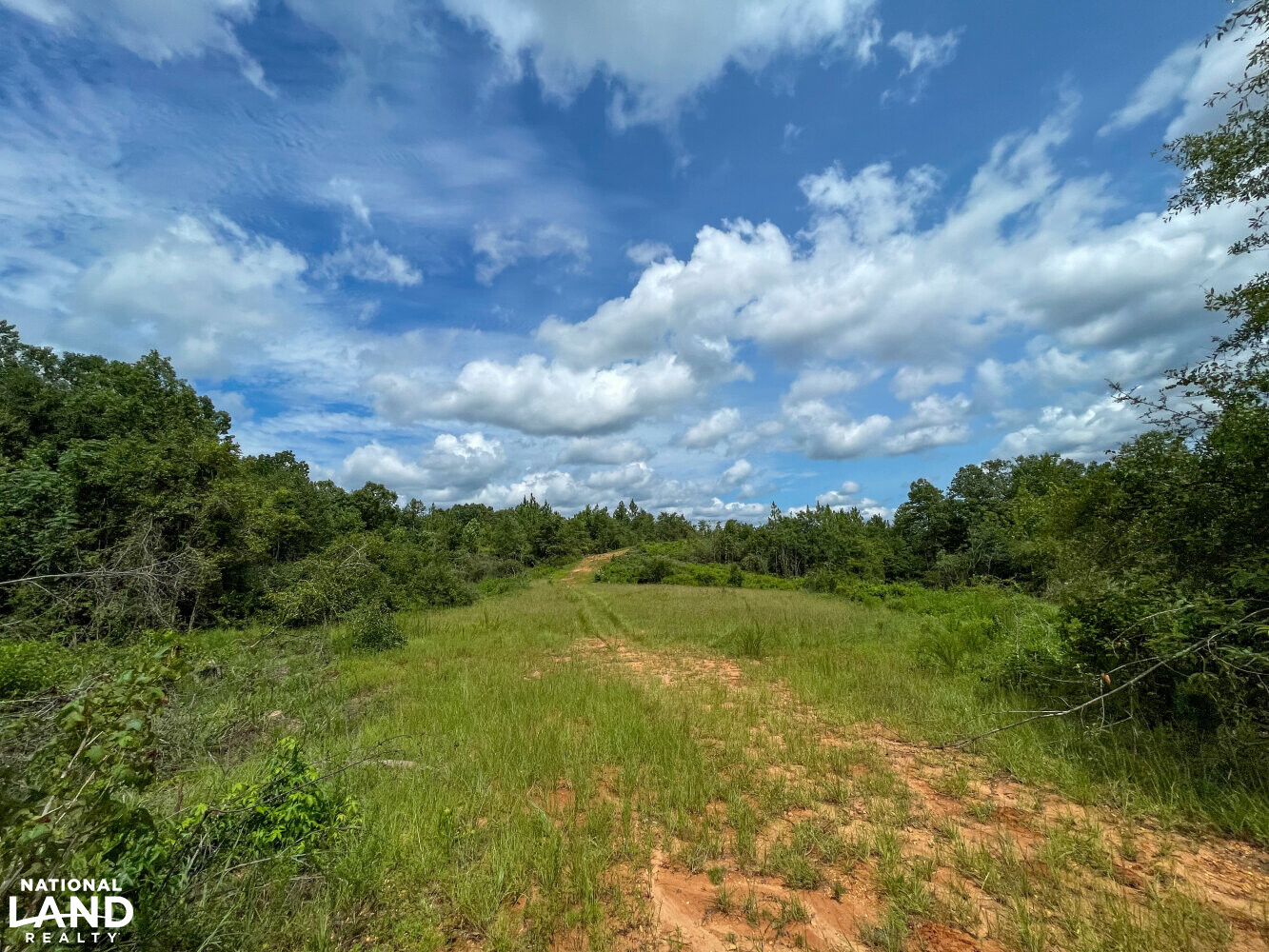 West Autauga Mulberry Creek Timber and Hunting Tract in Autauga County