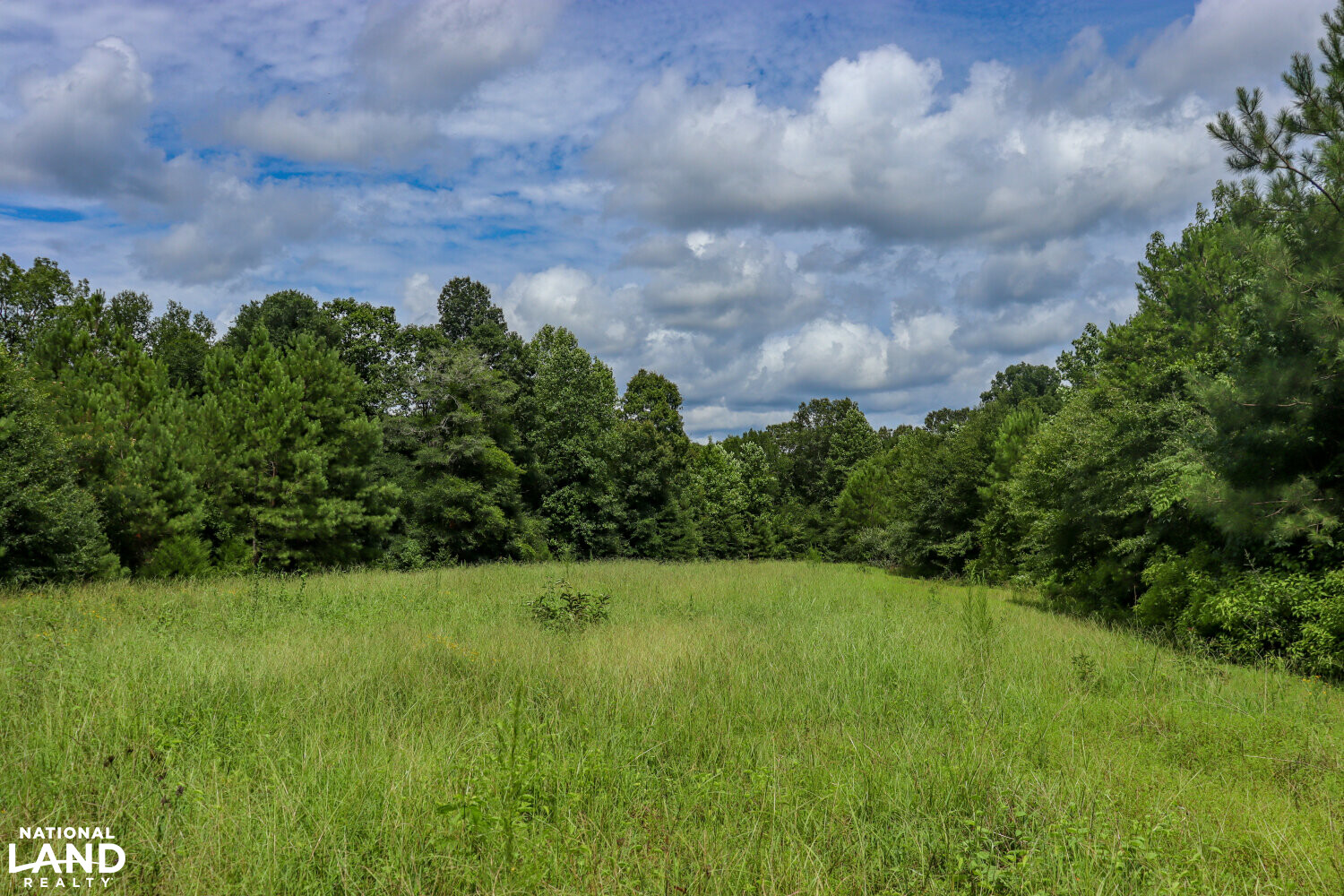 West Autauga Mulberry Creek Timber and Hunting Tract in Autauga County