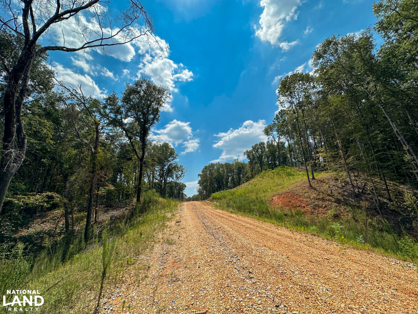 West Autauga Mulberry Creek Timber and Hunting Tract in Autauga County
