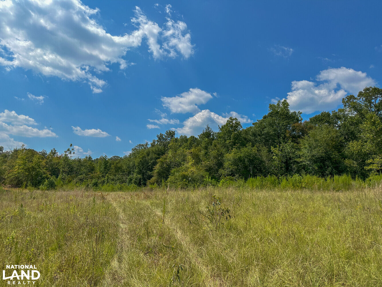 West Autauga Mulberry Creek Timber and Hunting Tract in Autauga County