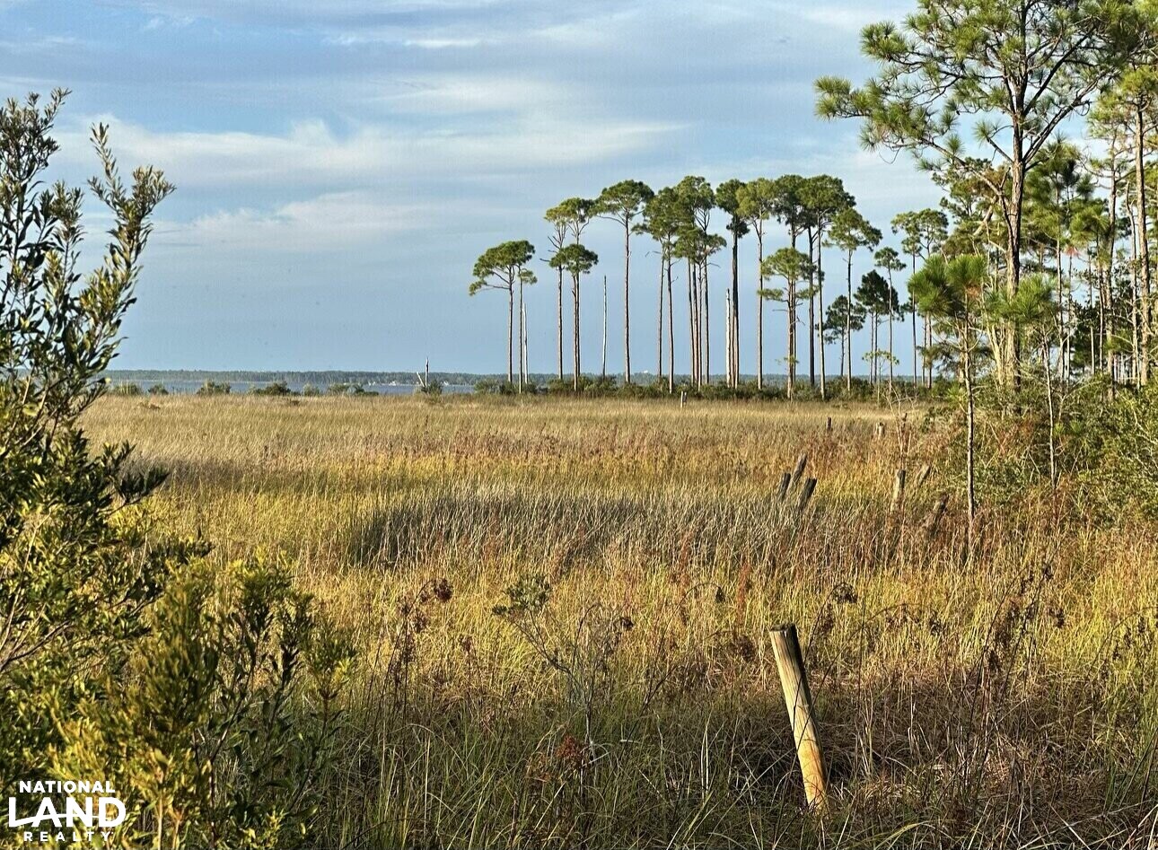 Perdido Bay Conservation Tract in Escambia County, Florida (14 Photos