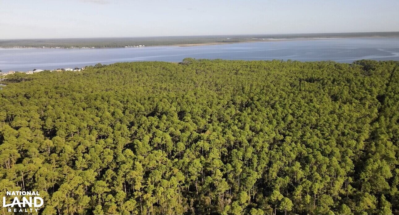 Perdido Bay Conservation Tract in Escambia County, Florida (14 Photos
