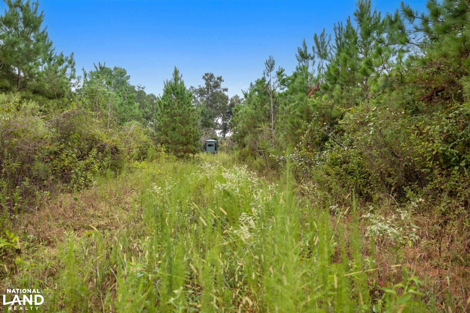 Hunting Along Cypress Bayou in Morehouse Parish, Louisiana (25 Photos