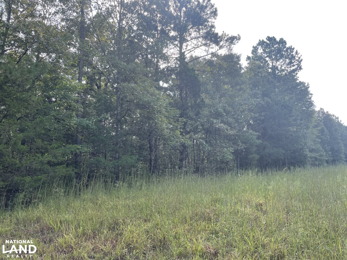 55 Wooded Acres With Pond in McNairy County, Tennessee (19 Photos) National Land Realty