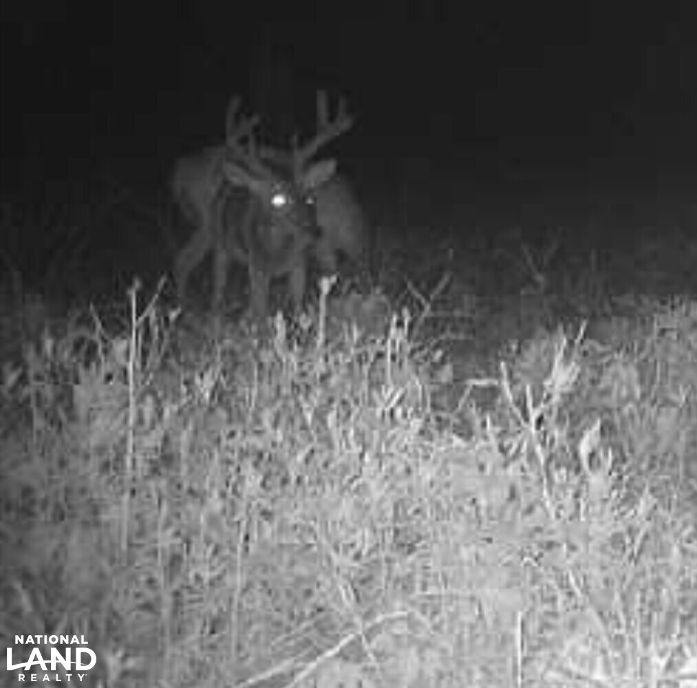 Buck Creek Hunting and Timber Investment in Autauga County, Alabama (27