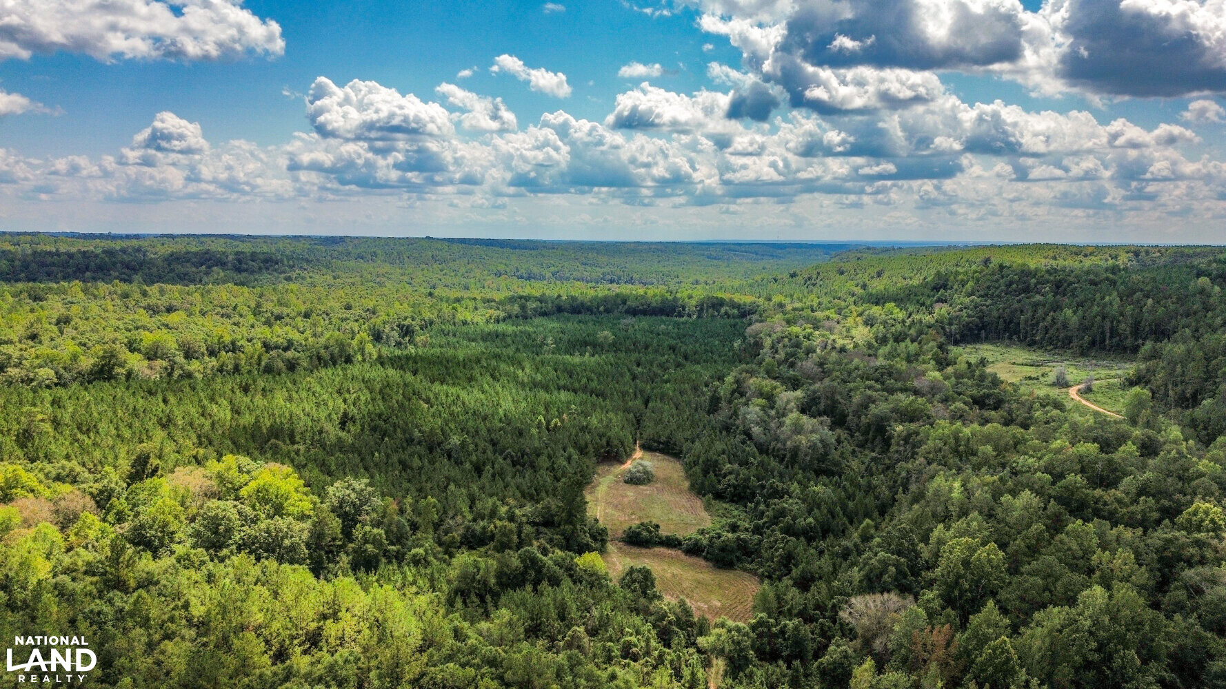 Buck Creek Hunting and Timber Investment in Autauga County, Alabama (27