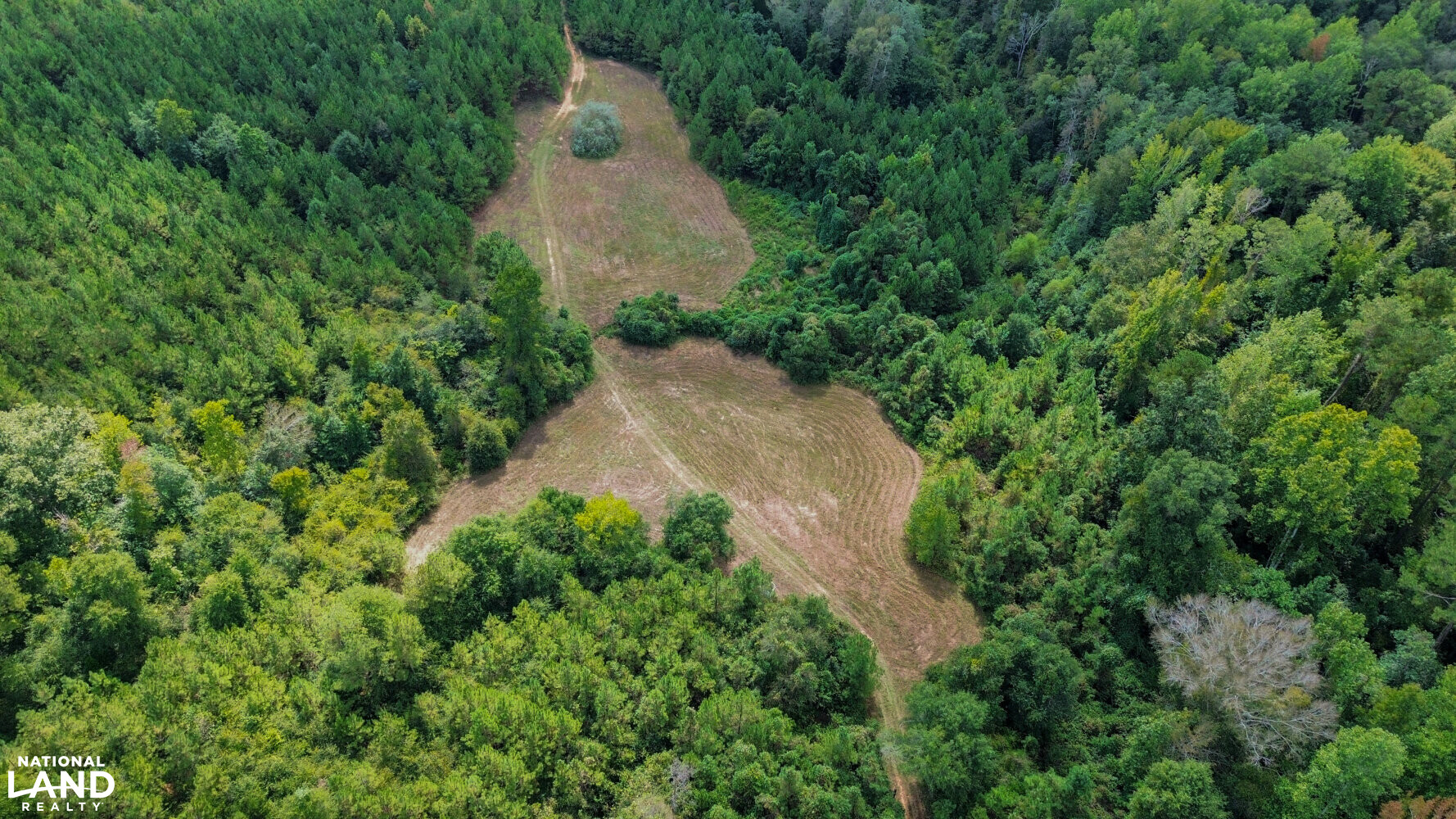 Buck Creek Hunting and Timber Investment in Autauga County, Alabama (27