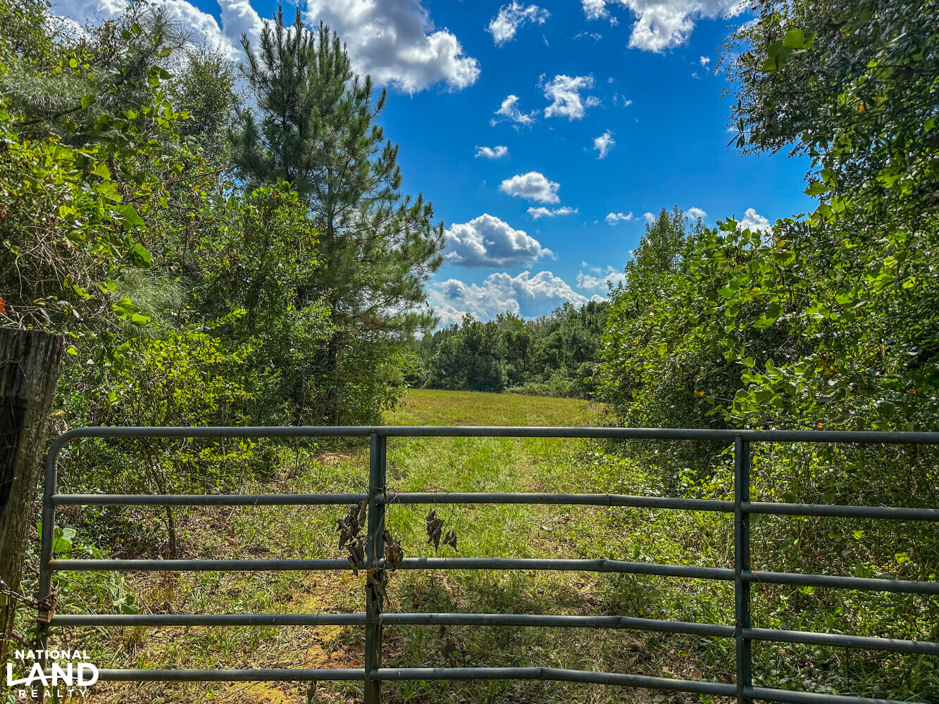 Buck Creek Hunting and Timber Investment in Autauga County, Alabama (27