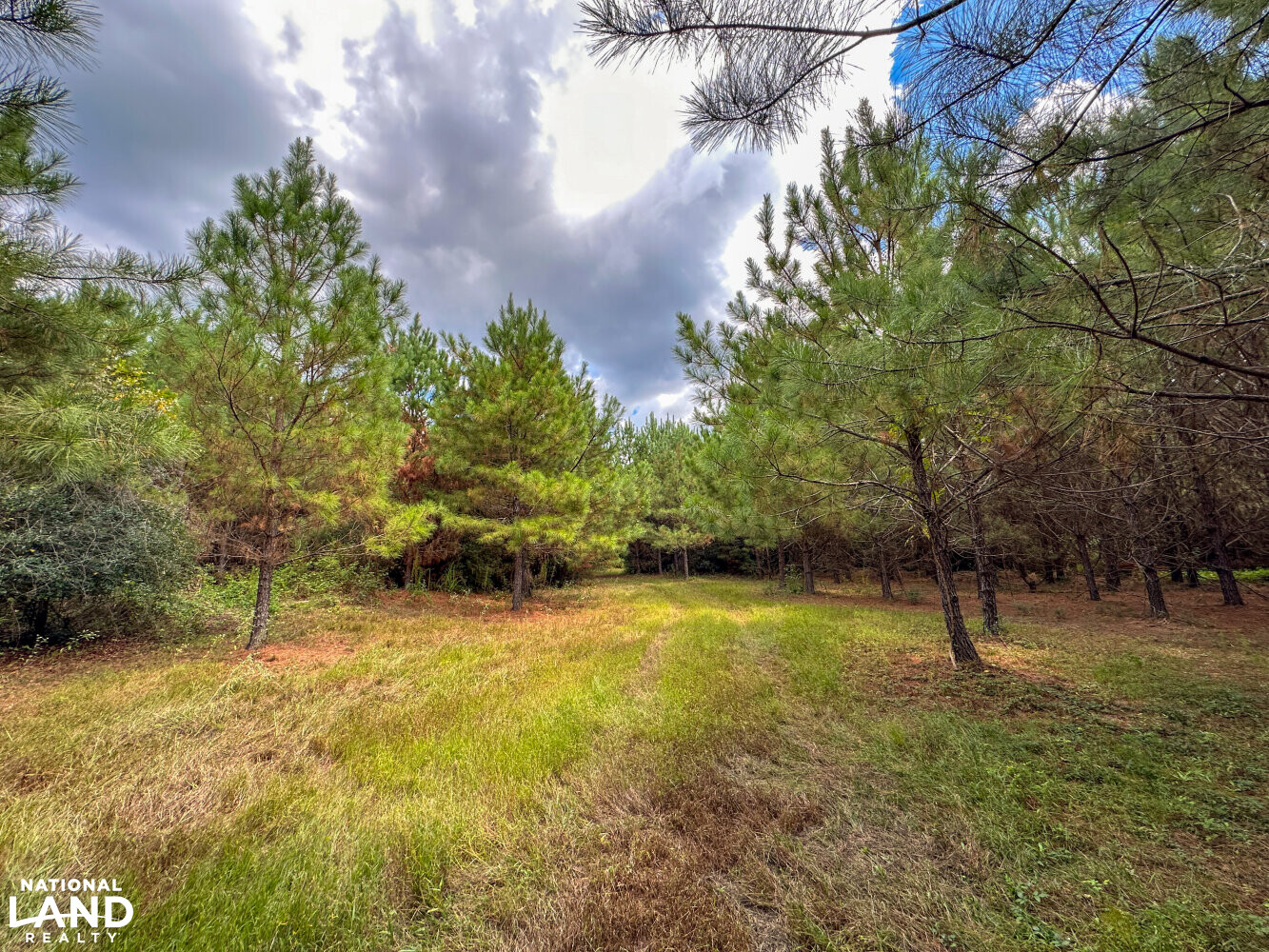 Buck Creek Hunting and Timber Investment in Autauga County, Alabama (27