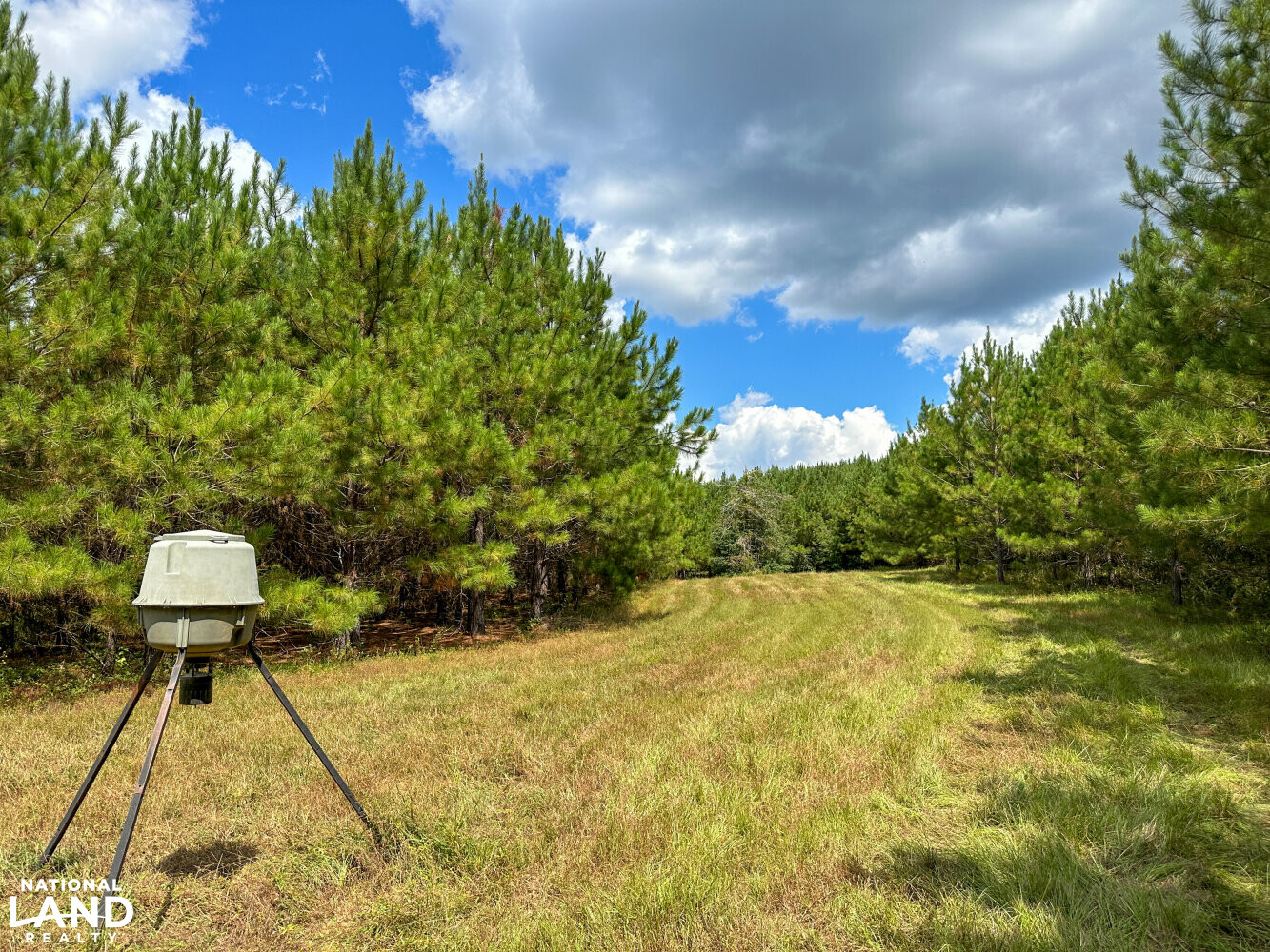 Buck Creek Hunting and Timber Investment in Autauga County, Alabama (27