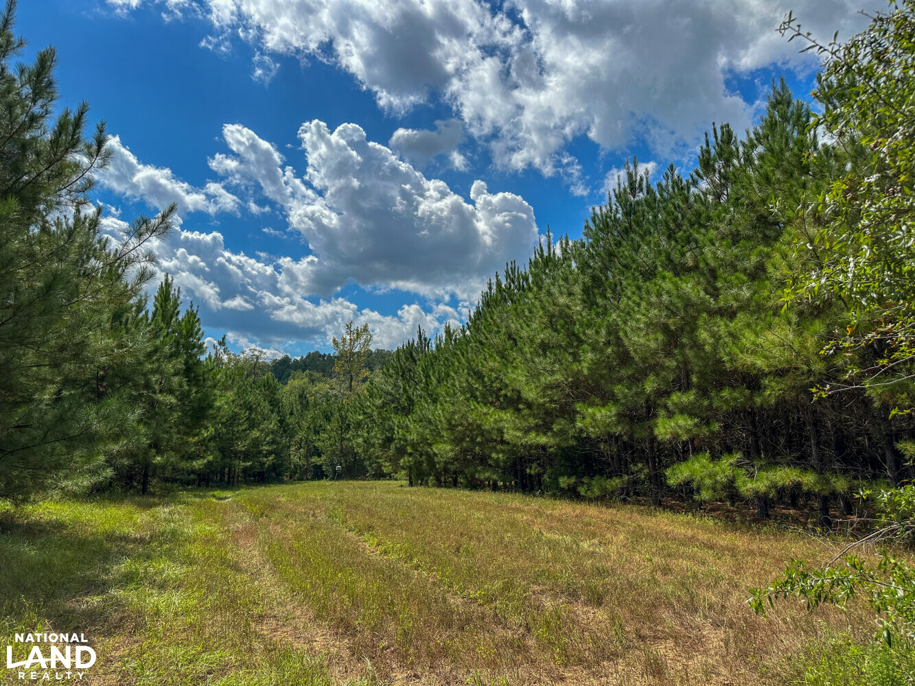 Buck Creek Hunting and Timber Investment in Autauga County, Alabama (27