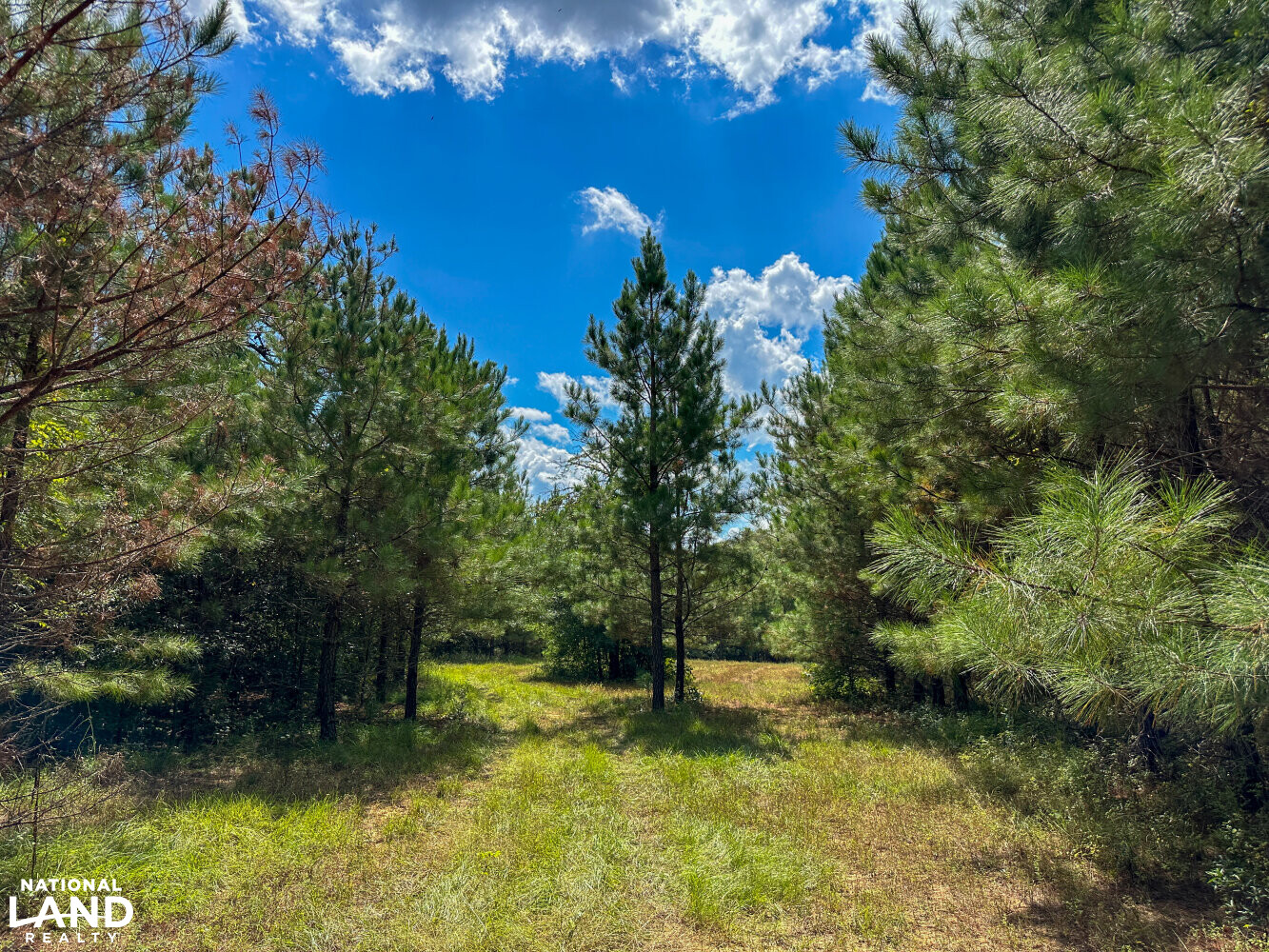 Buck Creek Hunting and Timber Investment in Autauga County, Alabama (27