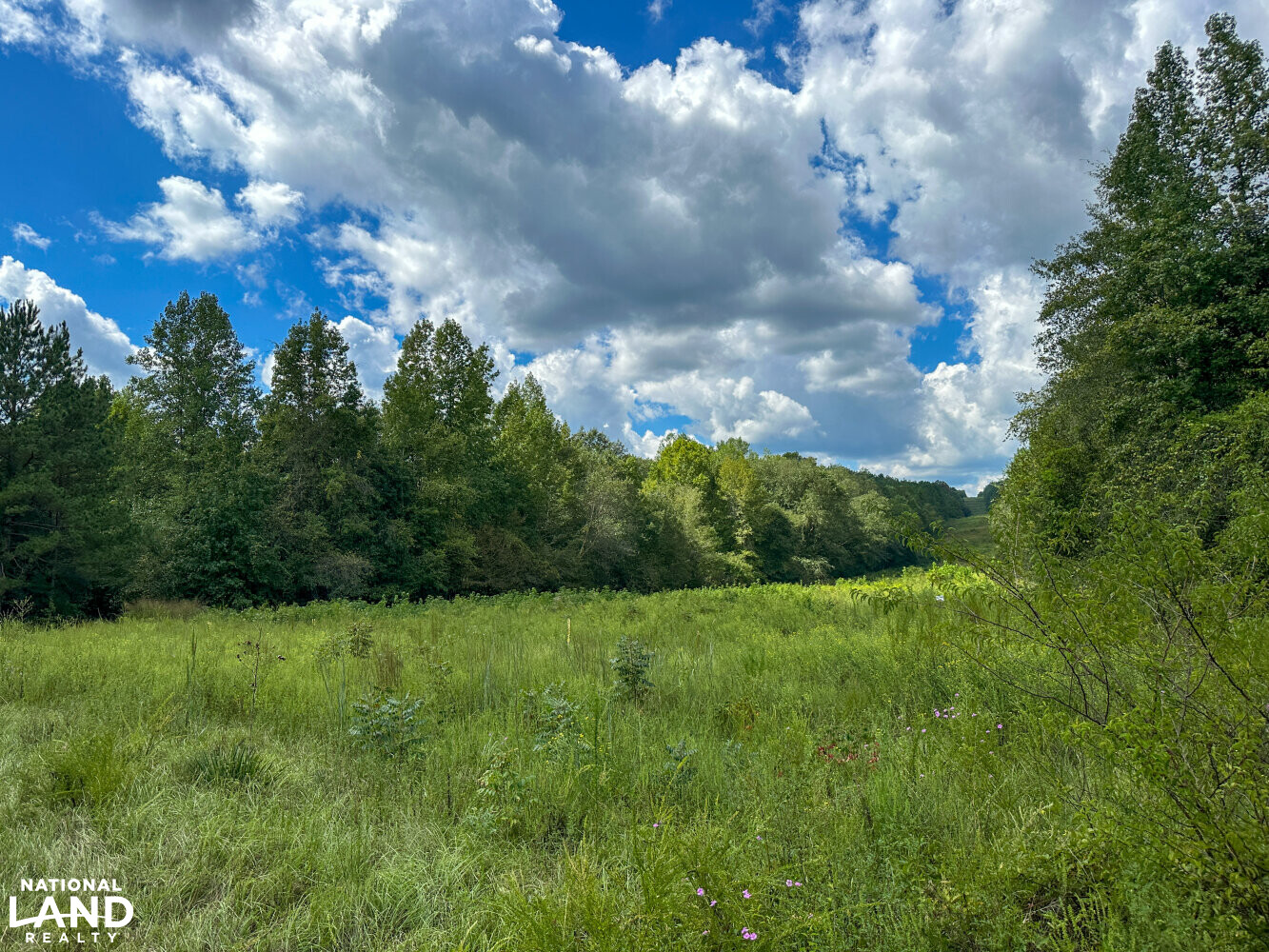 Buck Creek Hunting and Timber Investment in Autauga County, Alabama (27