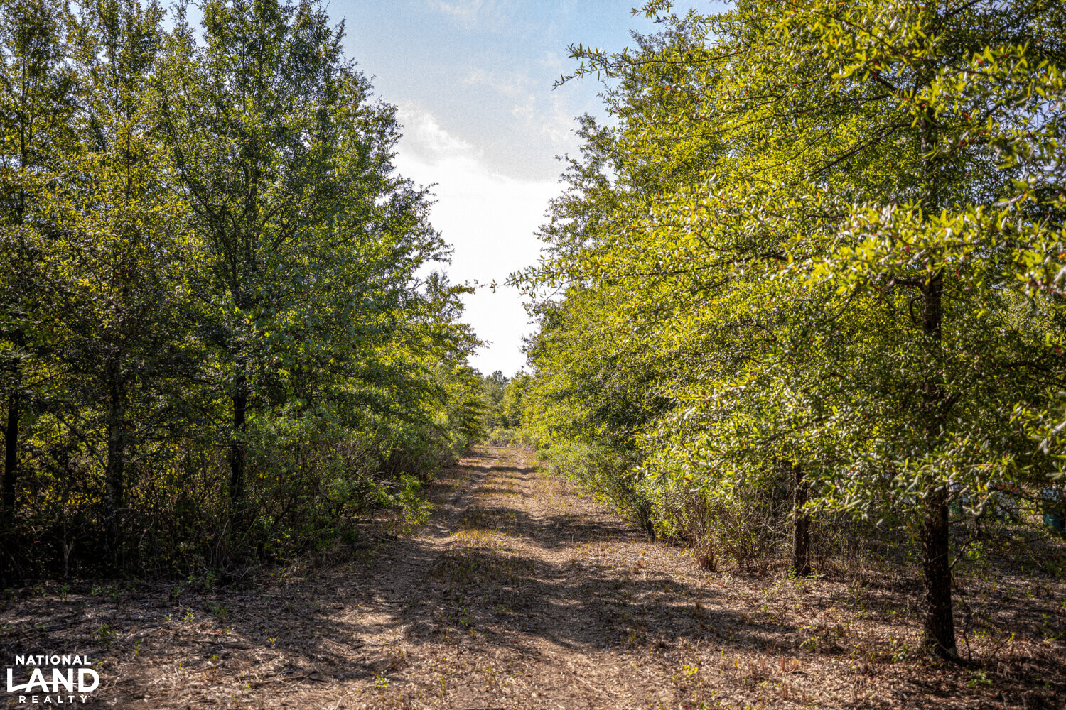 " North Panther Swamp " WRP 118 in Humphreys County, Mississippi (82