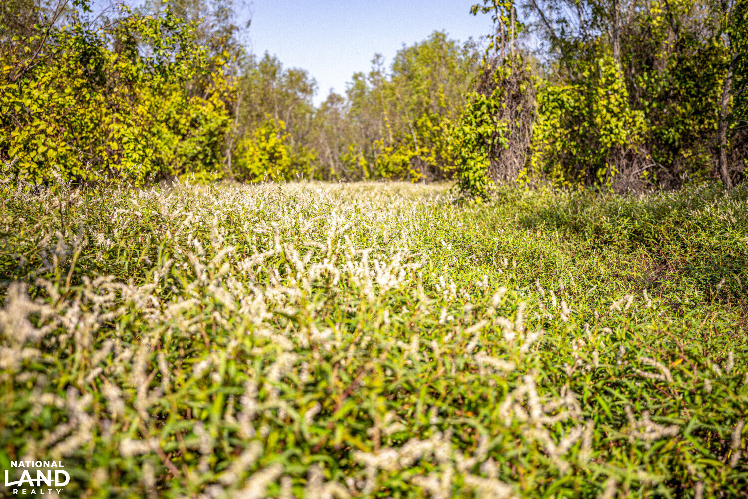 " North Panther Swamp " WRP 118 in Humphreys County, Mississippi (82