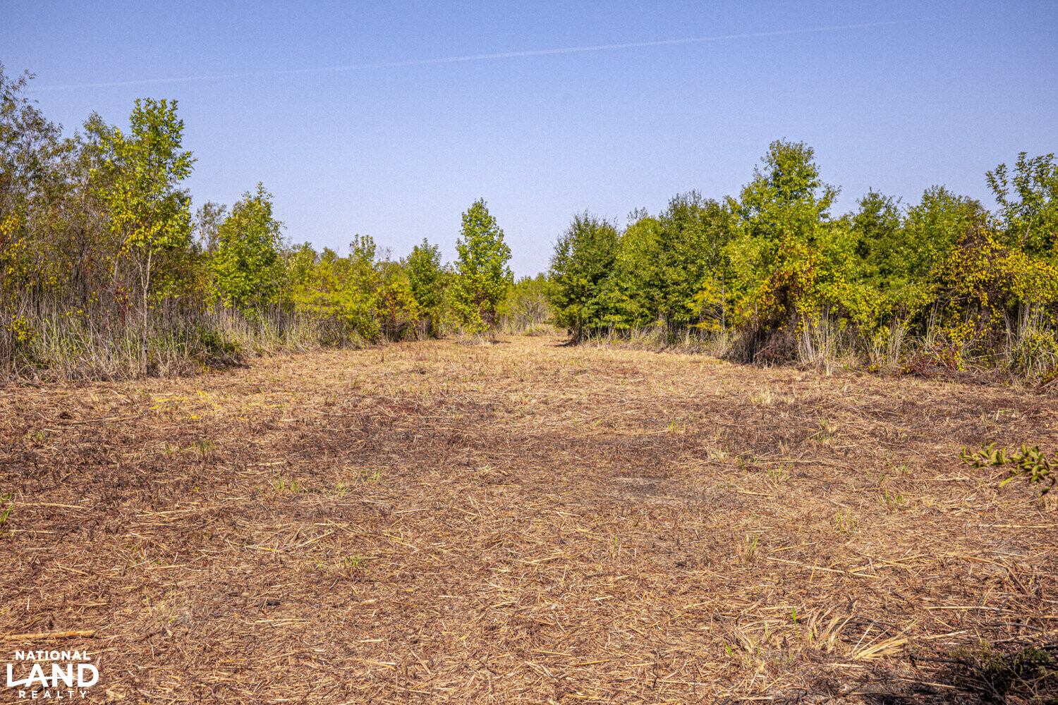 " North Panther Swamp " WRP 118 in Humphreys County, Mississippi (82