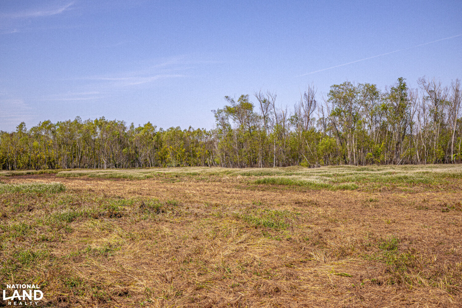 " North Panther Swamp " WRP 118 in Humphreys County, Mississippi (82